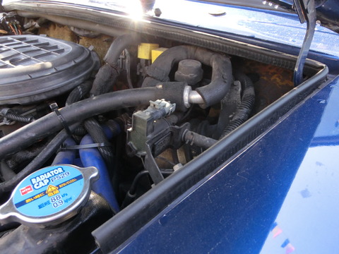 CIMG2191
