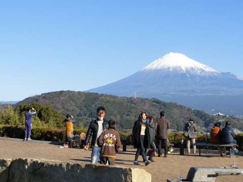 CIMG0593