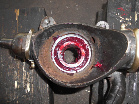 DSCN2646