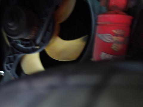 DSC07779