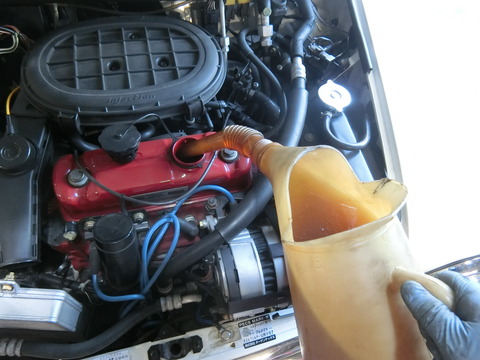 CIMG3548