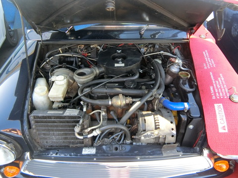 CIMG6273