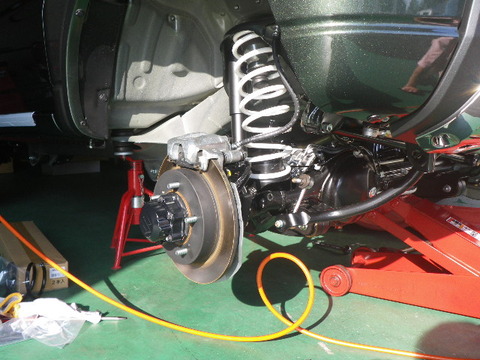 IMGP6649