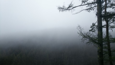 DSC_0268