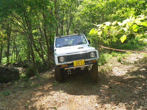 IMGP6206