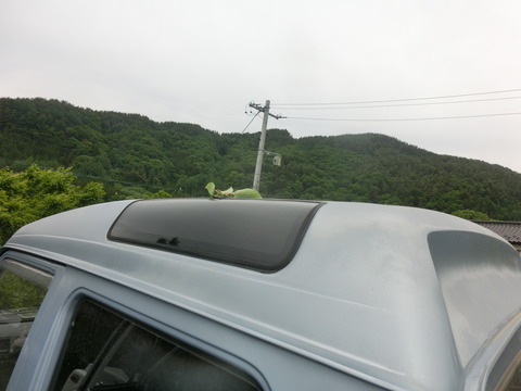 CIMG9879