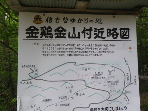 IMGP8931