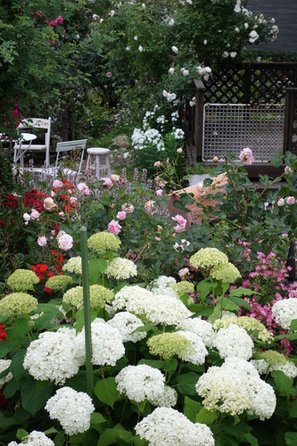 DSC00617