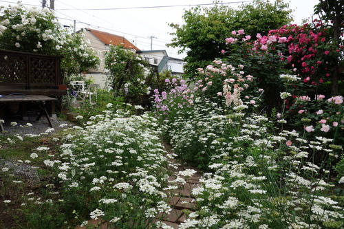 DSC00458