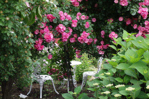 DSC00493