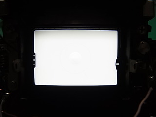 RIMG0261