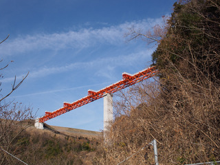 P1033008c