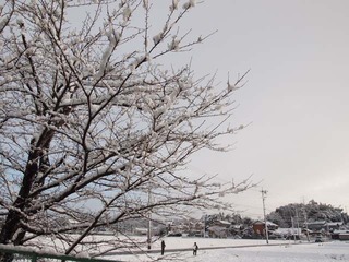 PC261437_1