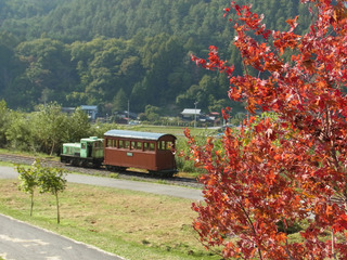 RIMG0566_1