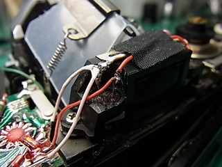RIMG0251