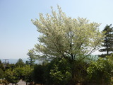 P1020245
