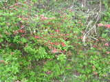 P1020283