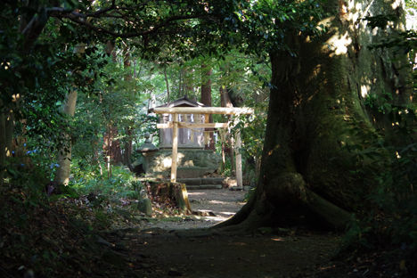 スノーピーク本社に近い彌彦神社1