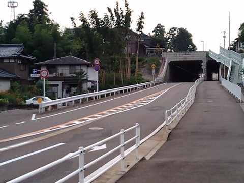 99181661