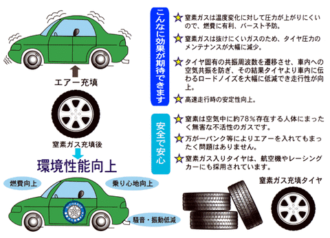 eco_n202