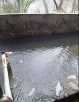 新湯ストレートの露天風呂