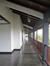 RIMG0529