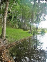 RIMG0786