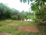 RIMG0814