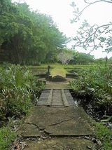 RIMG0792