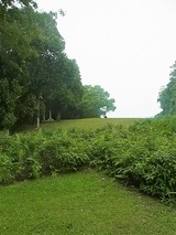 RIMG0827