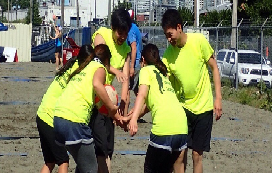 vallyball