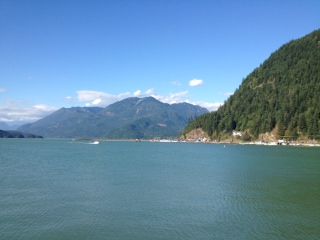 photo (14)