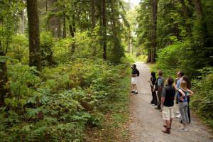 Stanley_Trails