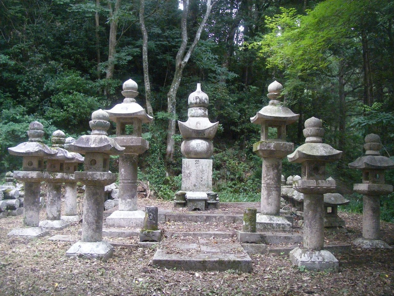 �祉��������ｃ� の掲示板投稿写真＆画像