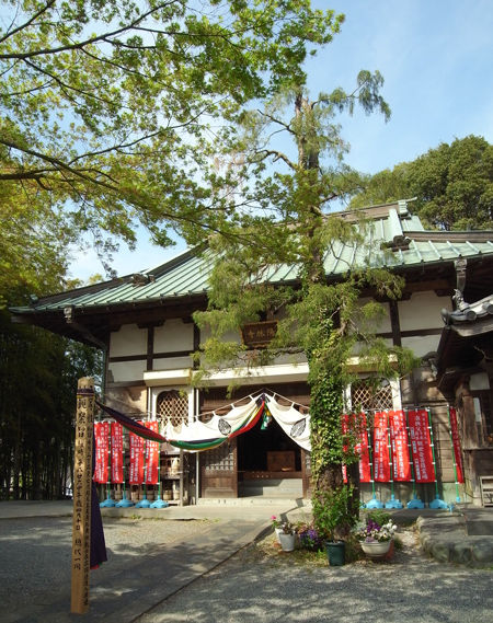 25陽林寺8