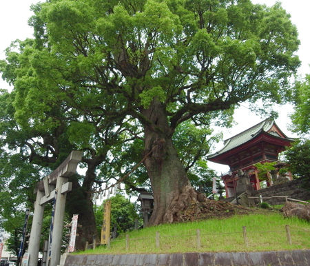北岡神社5