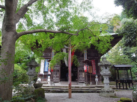 20岩之上堂2