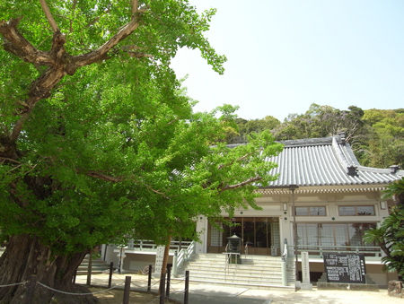 長谷寺7
