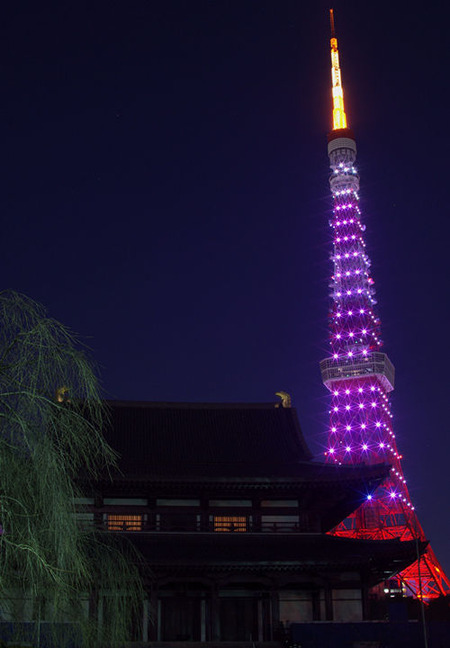 増上寺・夜景