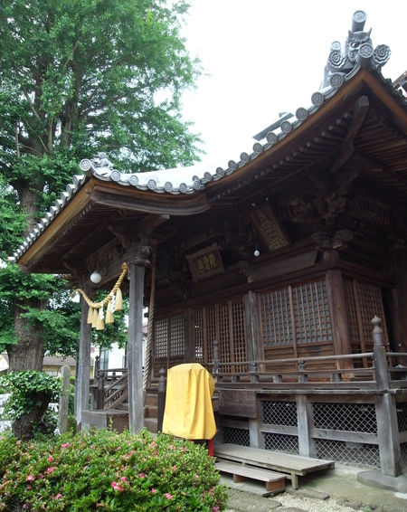 10善入院6