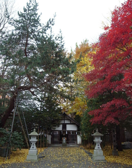 琴似神社70
