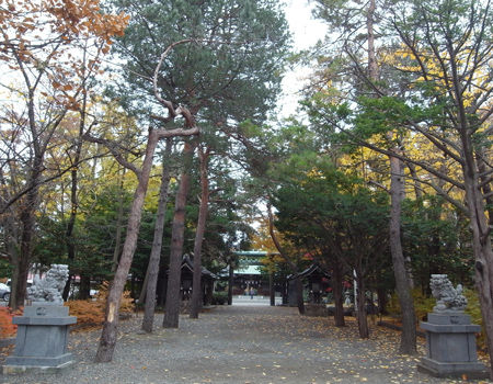 琴似神社0