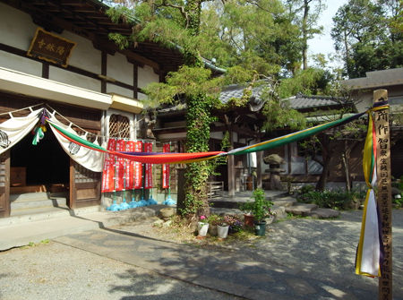 25陽林寺7