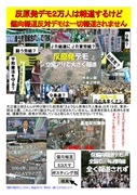 20110821-demo-inpei