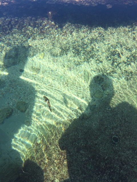 S_4808625389035