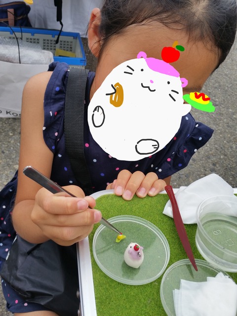 H28年大磯あかねちゃんハムバージョン2