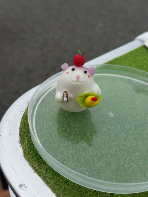 あかねちゃん(小4)のハム