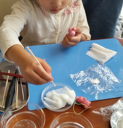 ことちゃんのウサギ作り