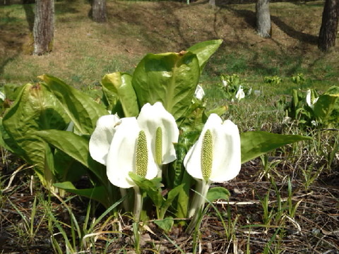 70f7ee39.jpg