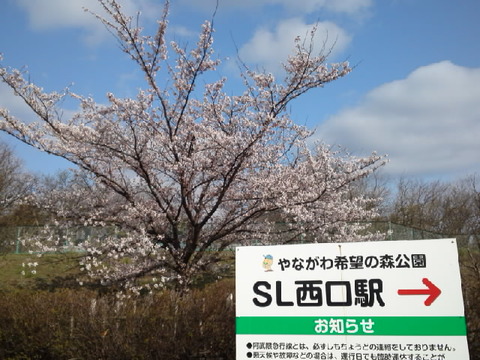 c85c6ca6.jpg
